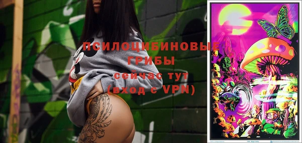 ПСИЛОЦИБИНОВЫЕ ГРИБЫ Белокуриха