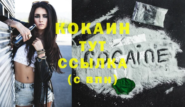 ПСИЛОЦИБИНОВЫЕ ГРИБЫ Белокуриха